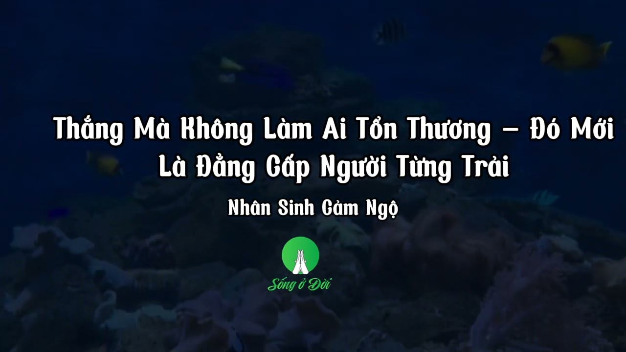 Người Khôn Ngoan Không Hơn Thua | Chiến Thắng Giữ Được Tôn Nghiêm Mới Là Lâu Dài