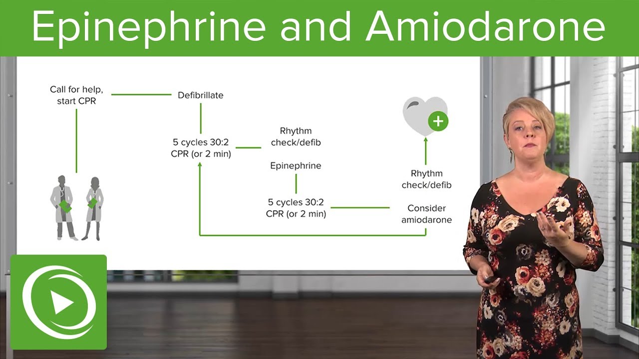 Epinephrine and Amiodarone &ndash; Cardiovascular Emergencies & Shock | Lecturio