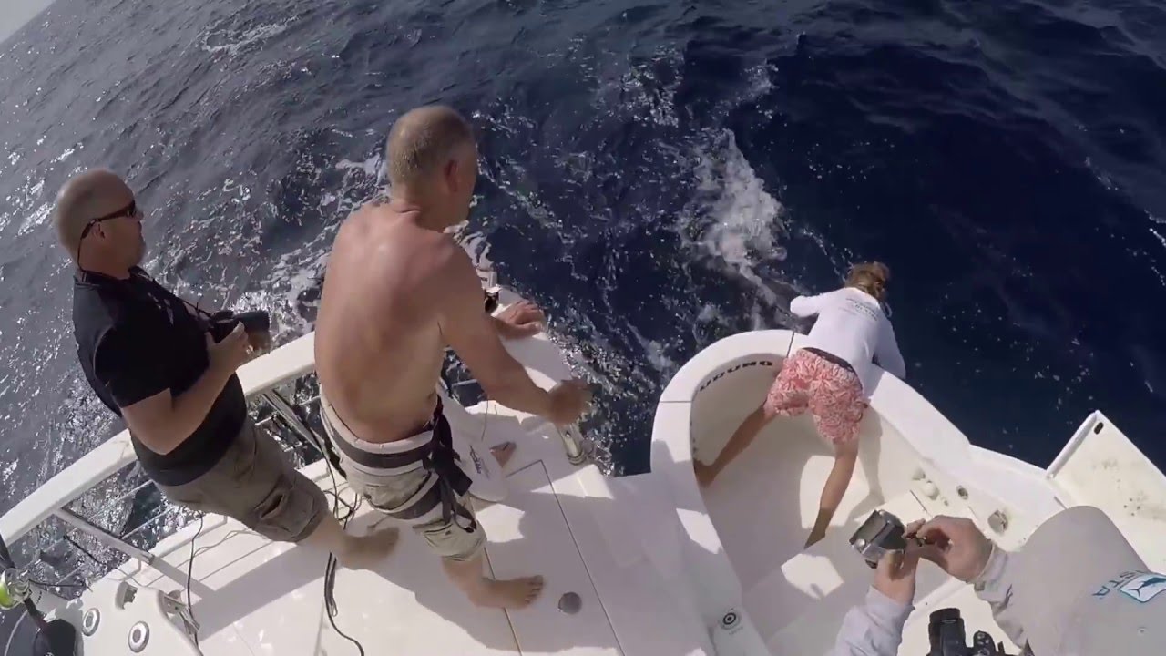 Blue Marlin Fishing cape verde 2016