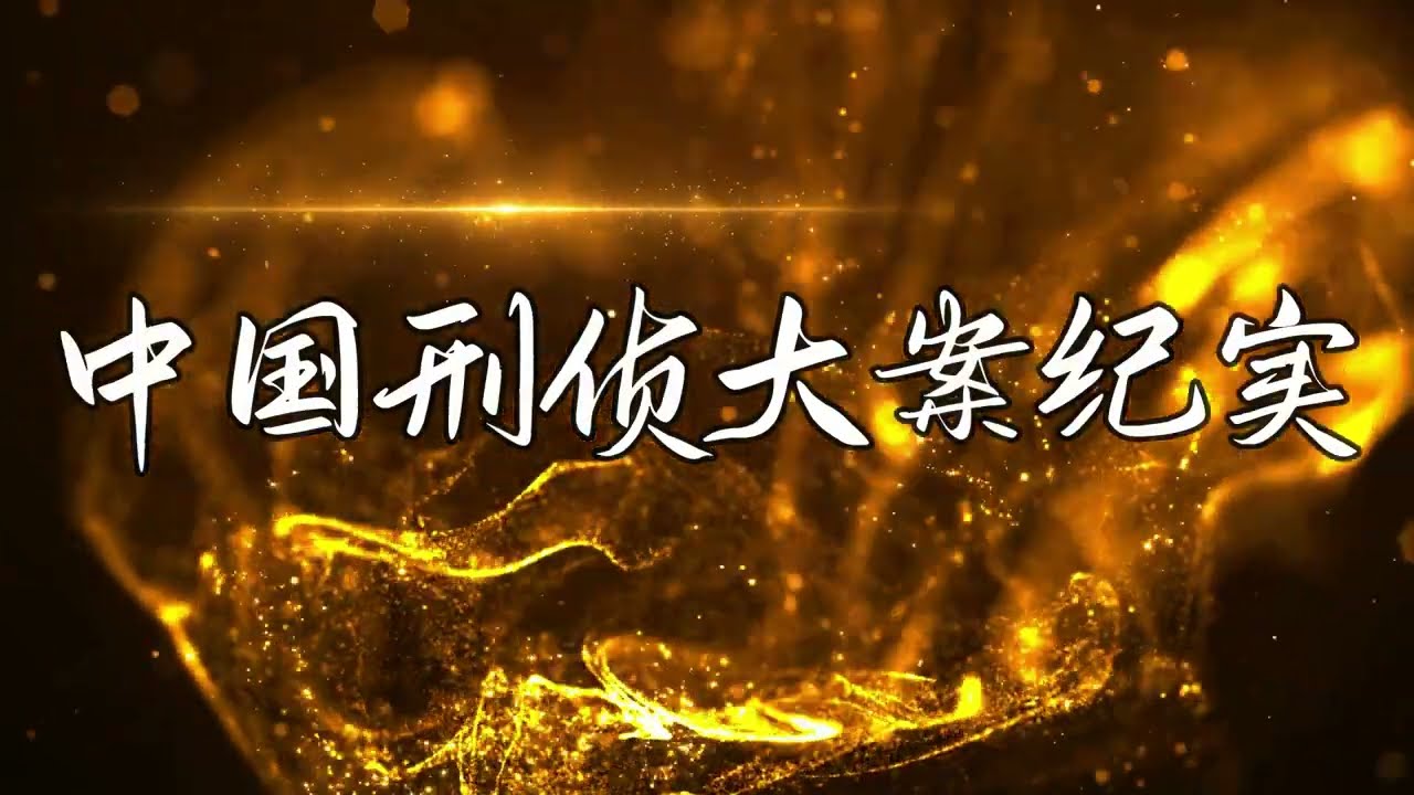中国刑侦大案纪实录，消失的少女