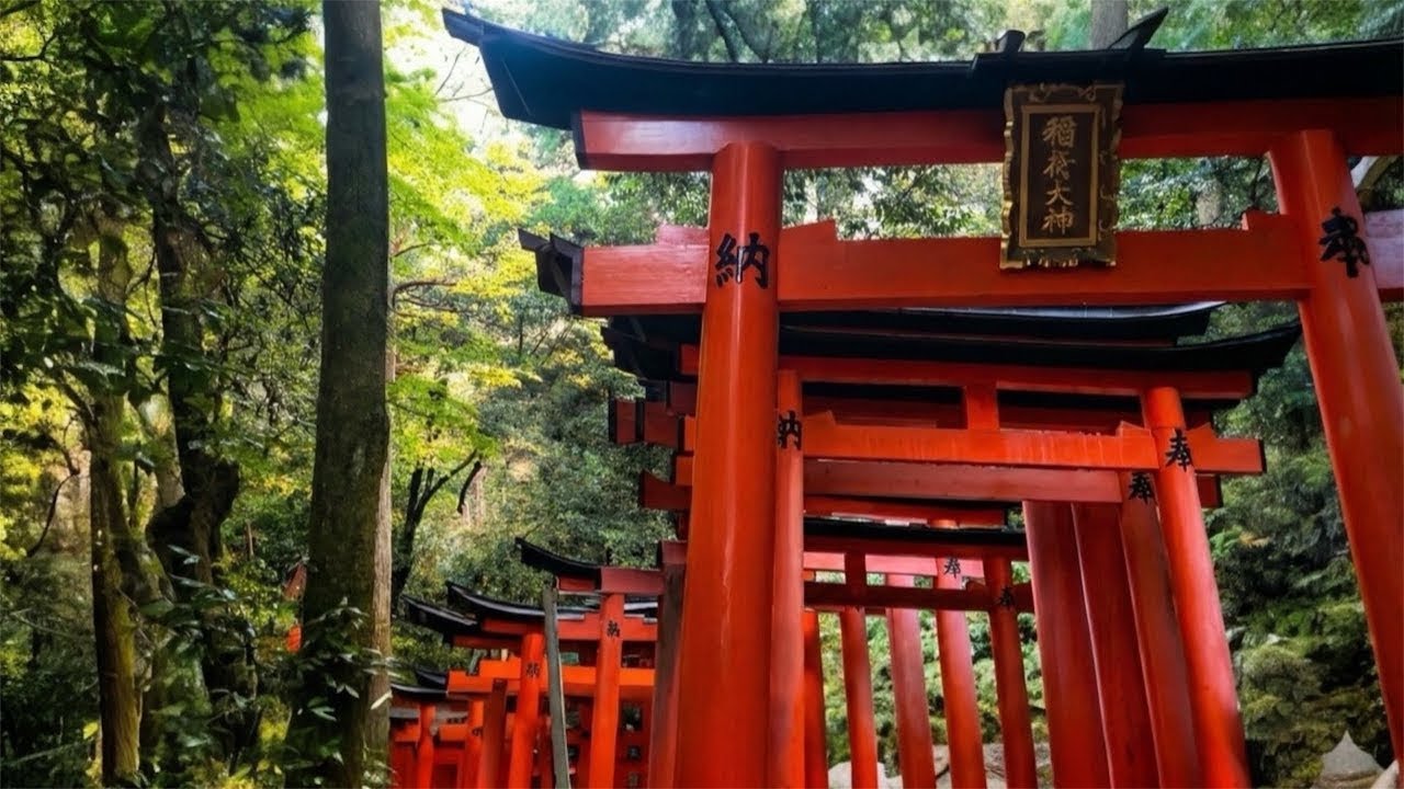 Exploring Kyoto’s No.1 Must-Visit Spot | Fushimi Inari Shrine’s Senbon Torii | Japan's WalkingTour