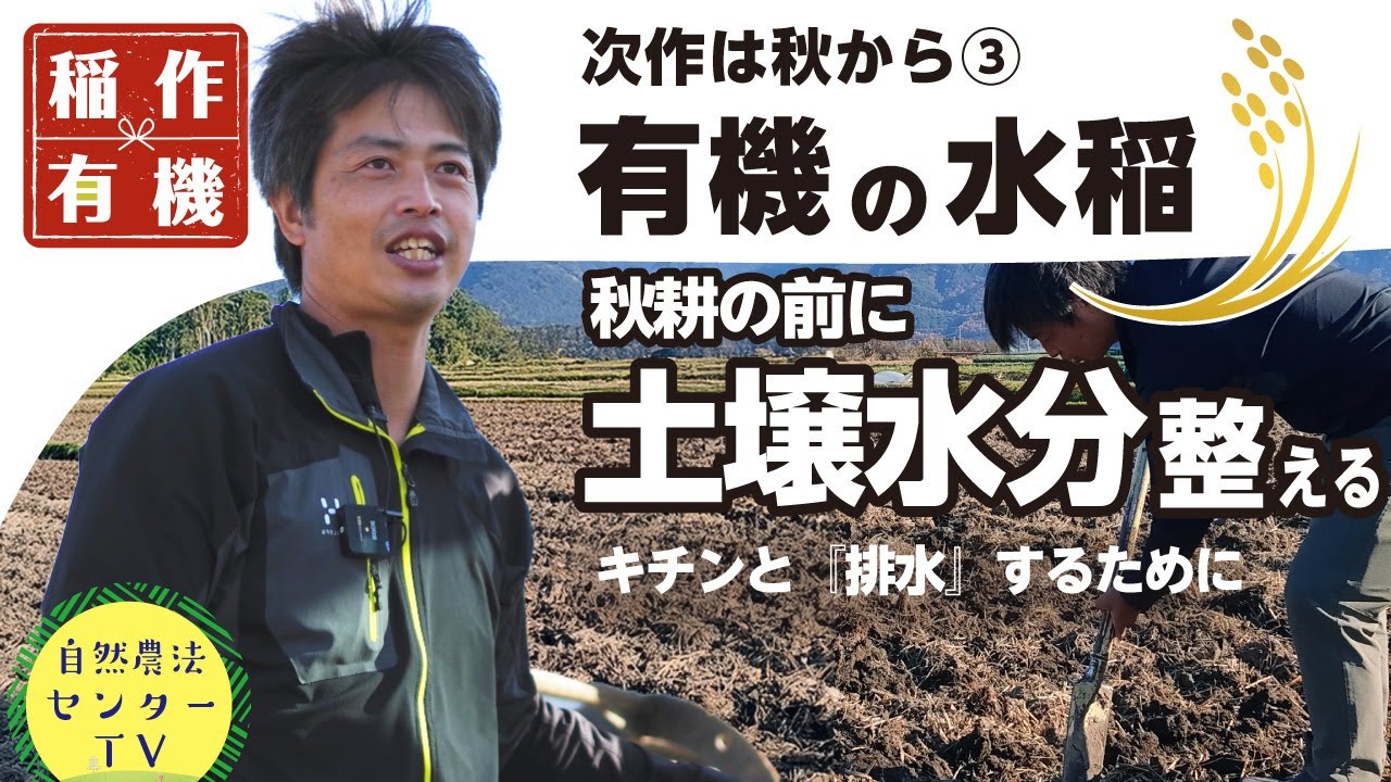 次作⇒秋から③ 水分多なら溝切る!!　稲わら分解の手間には秋に一手間で排水対策　品質収量アップを目指す『有機の米づくり』　【稲作有機 by 自然農法センター】