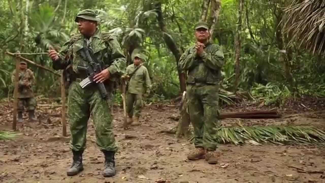 Military Jungle Warfare Training - US Marines In Belize