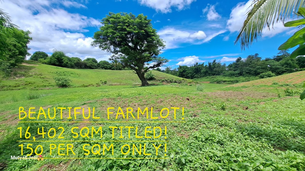 #vlog #740 BEAUTIFUL FARMLOT IN UMINGAN PANGASINAN 16,402 SQM TITLED!