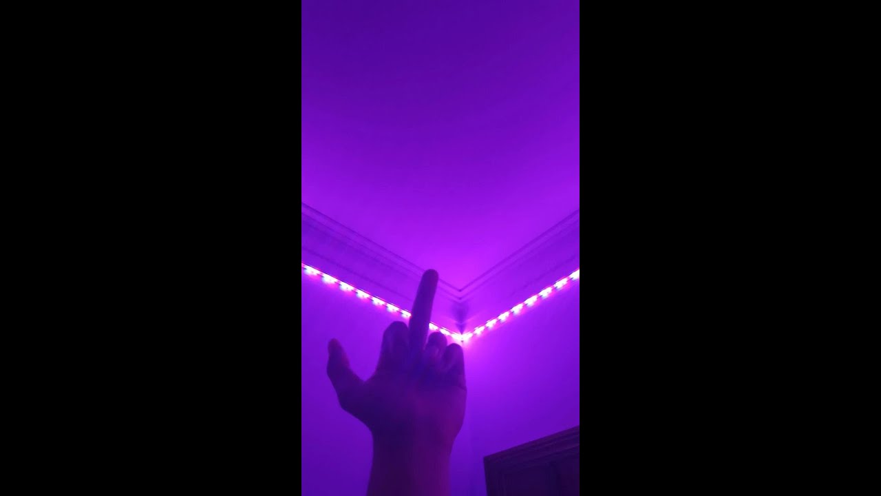 LL&DTL-Neonowe Łzy