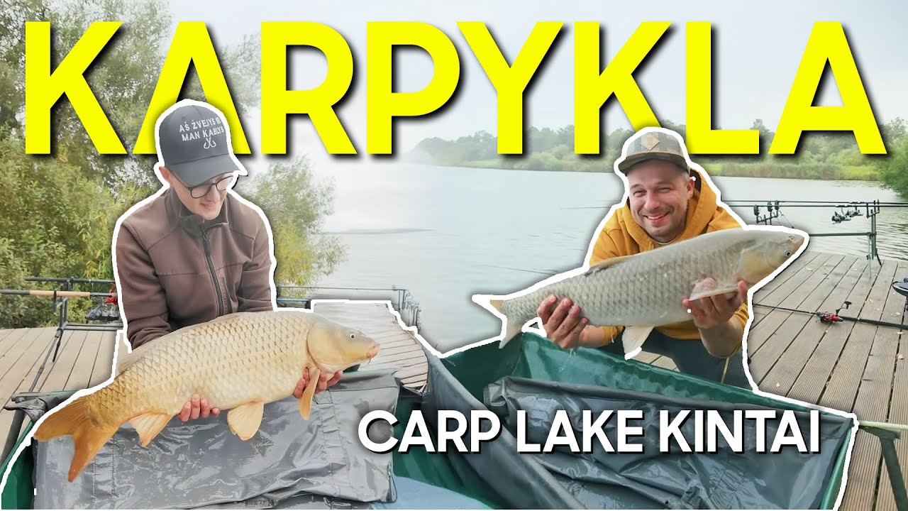 Ar AMŪRAS yra KARPIO giminė? Man labiau atrodo, kad KARŠIO!
