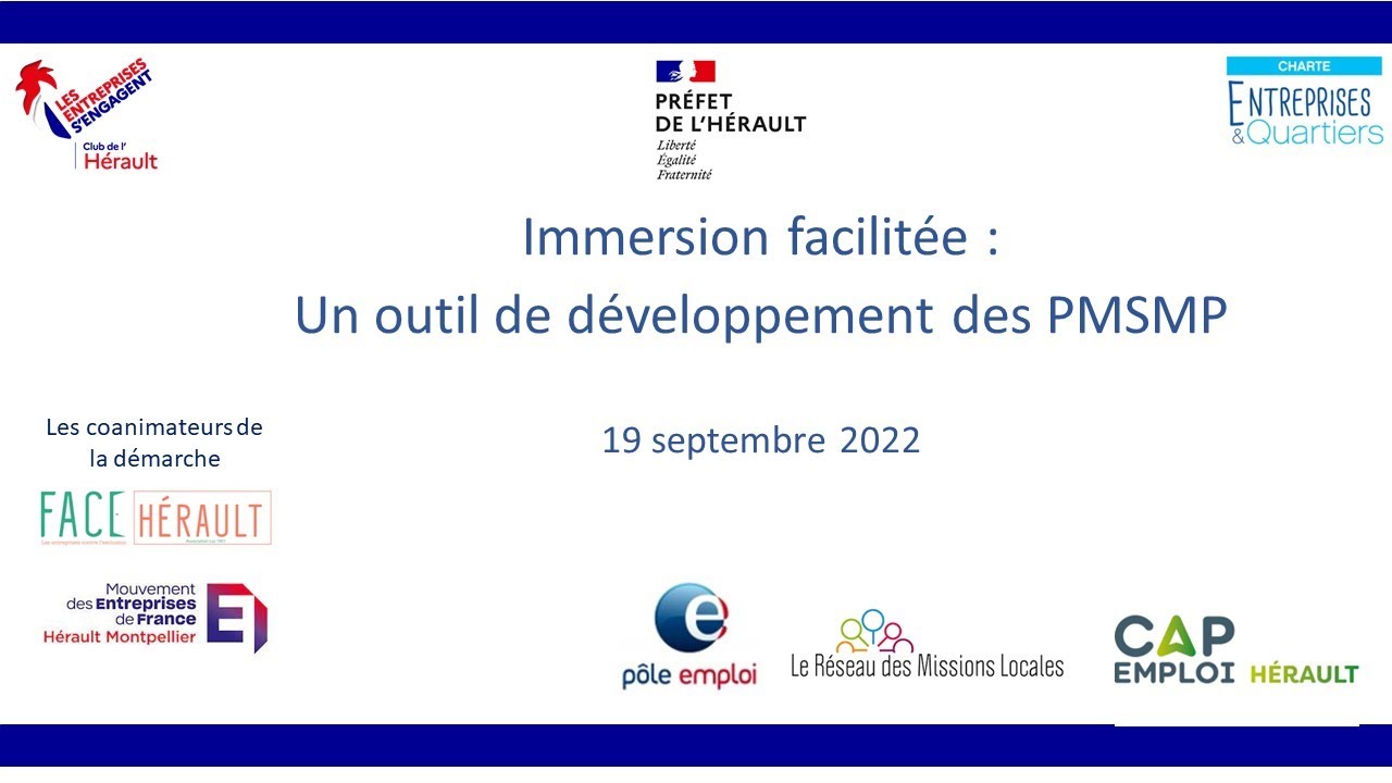 Webinaire : Développer les immersions PMSMP en entreprise avec la plateforme immersion facilitée