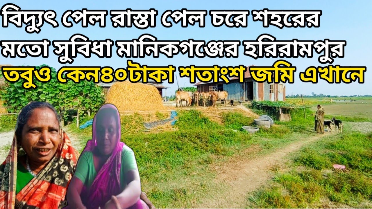 বিদ্যুৎ পেল রাস্তা পেল এই চরে শহরের মতো সুবিধা তবুও কেন ৪০টাকা শতাংশ জমি এখানে মানিকগঞ্জের হরিরামপুর