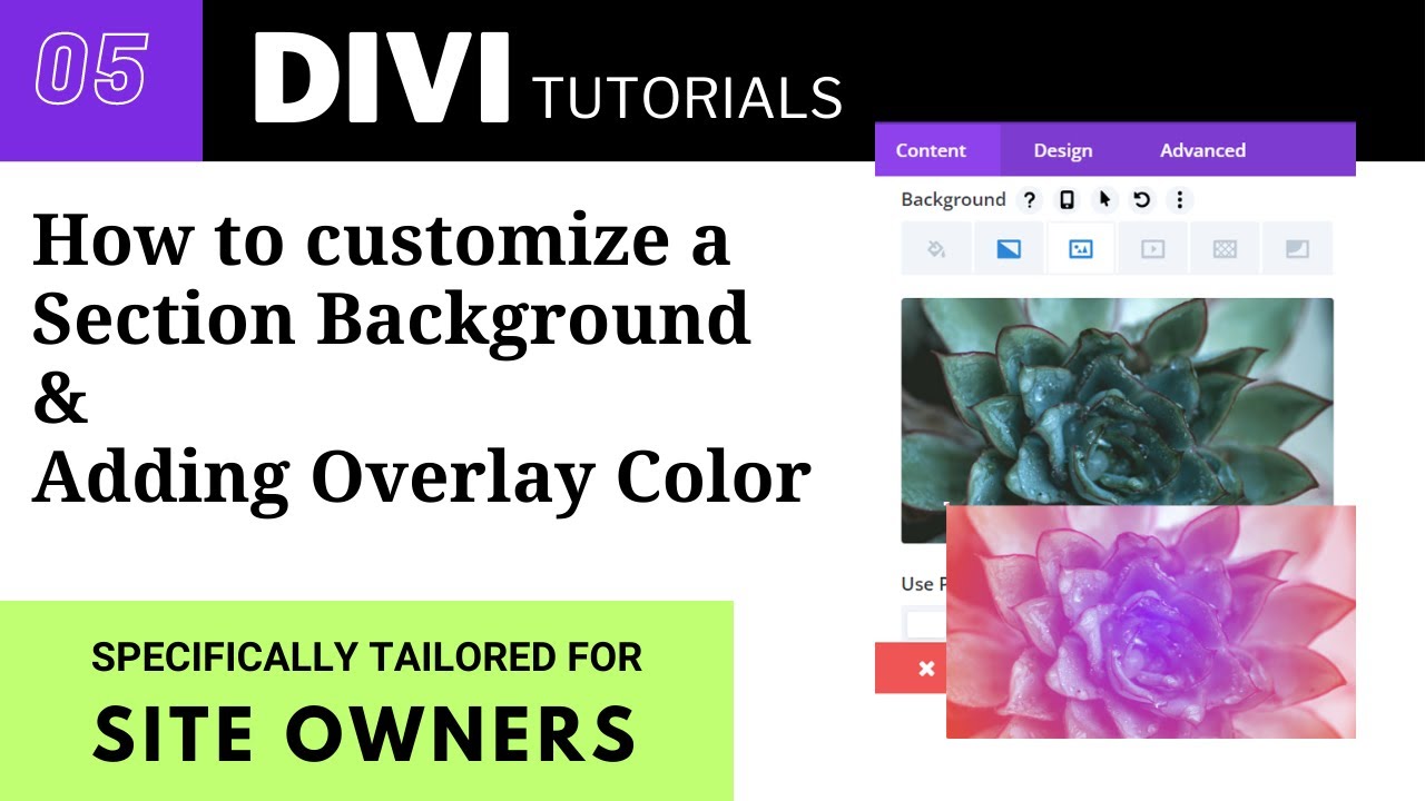 How to customize a section background and add overlay colour | Divi tutorial for beginners