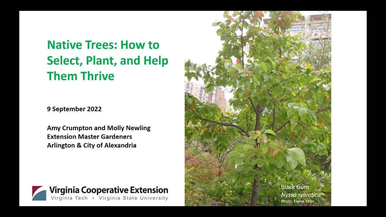 Native Trees: How to Select, Plant, and Help Them Thrive - Updated in 2022