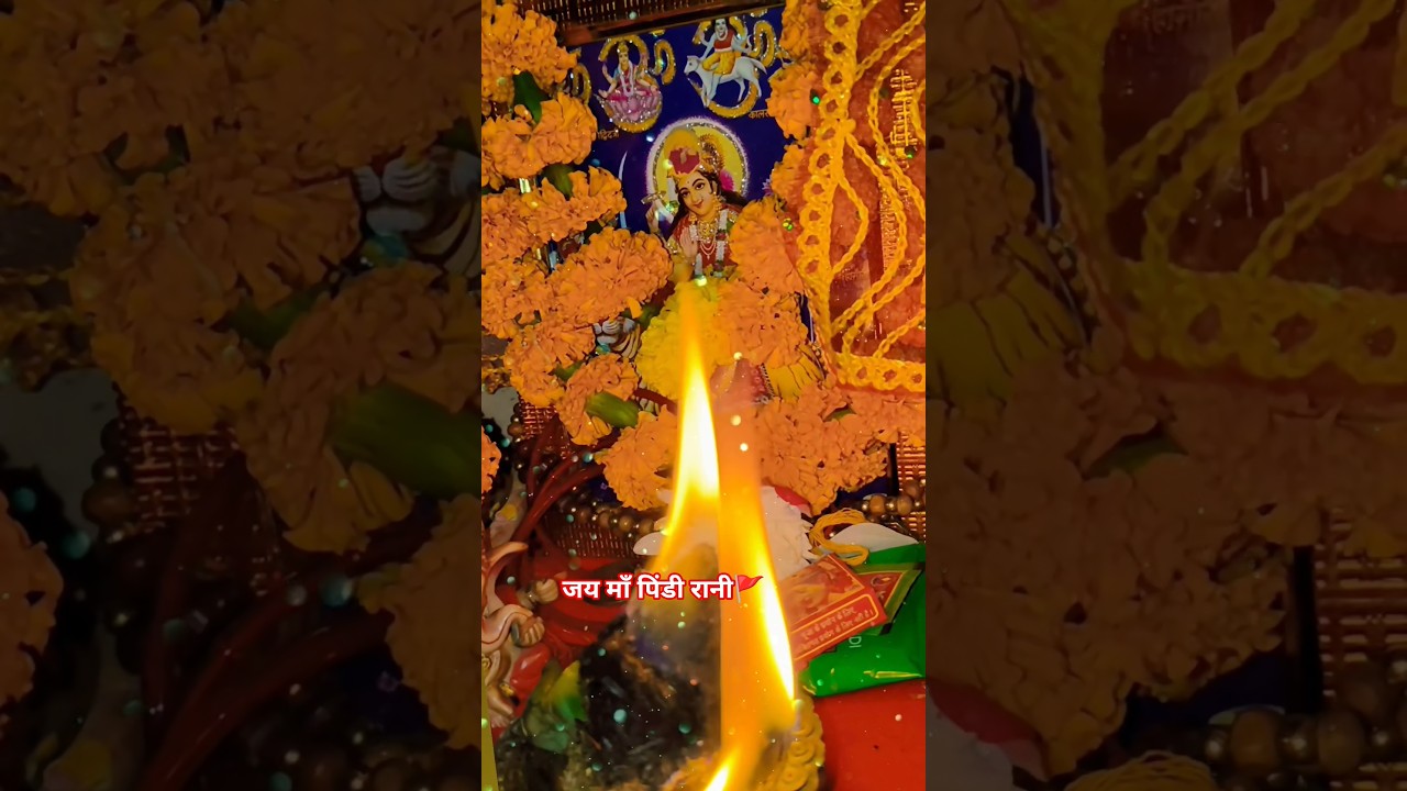 Jai Maa Pindi Rani aarati jai Maa 🙏🏻🪷🚩 #youtube