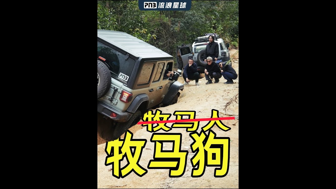 你可能不信，是狗把车开沟里的…… #中国风景 #旅行 #景區 #旅游 #露营