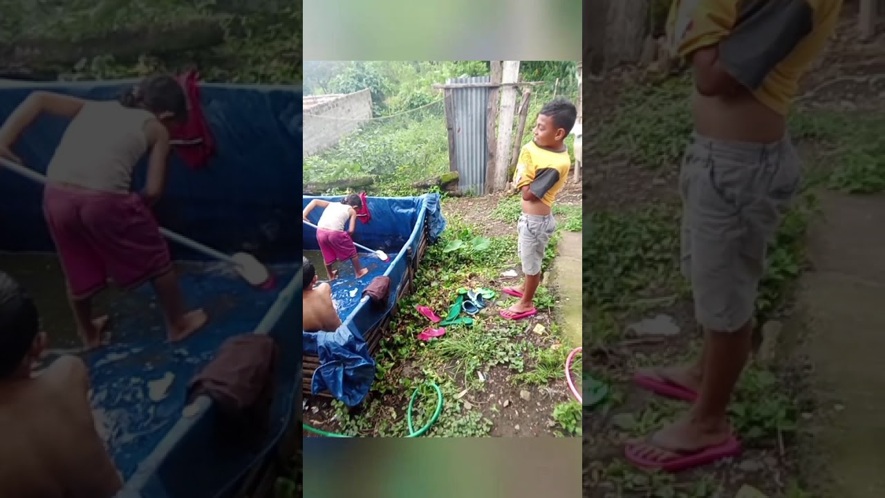 Keseruan Kami, Saat Panen Ikan Lele di halaman belakang rumah #RickiKaswandi#rumahkusurgaku 