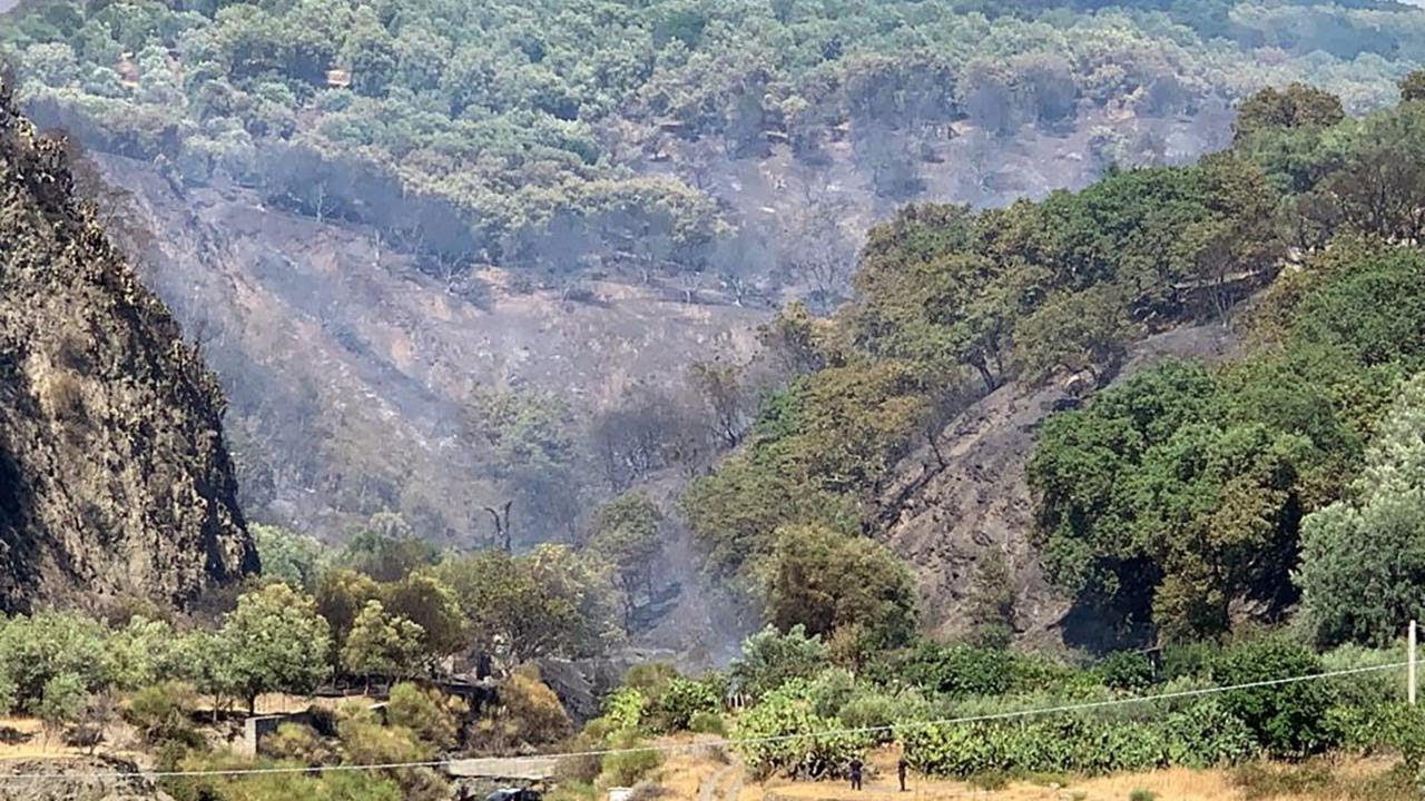 Reggio Calabria, le immagini dell'incendio che ha distrutto l'area grecanica