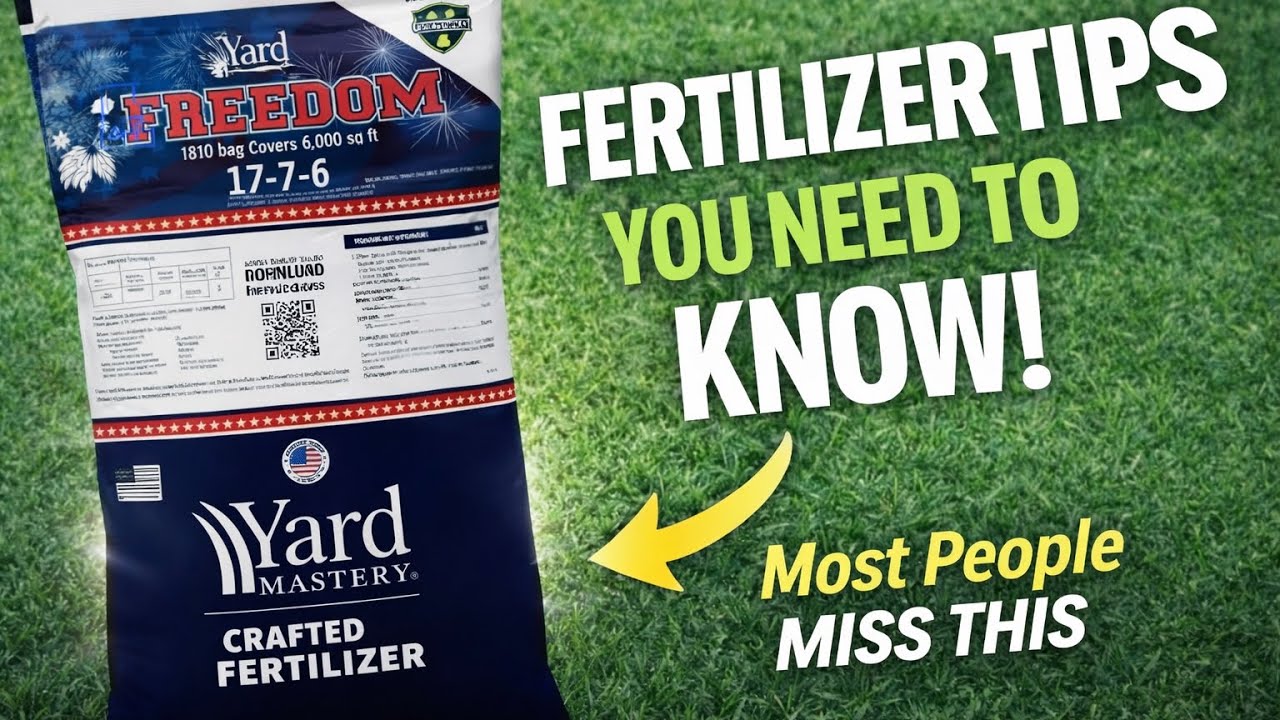 • When & How to Fertilize Your Lawn for Maximum Results using YardMastery