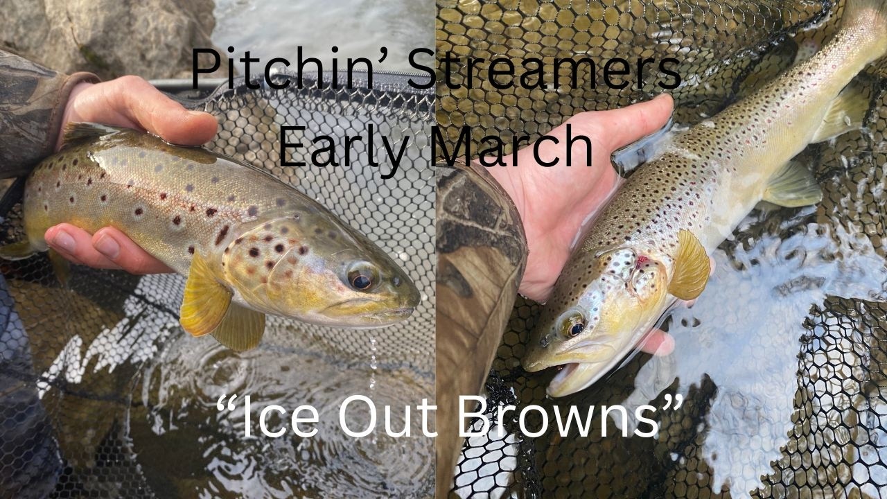 Pitchin' Streamers Early Spring for WILD Pennsylvania Brown Trout!! (March 2026)