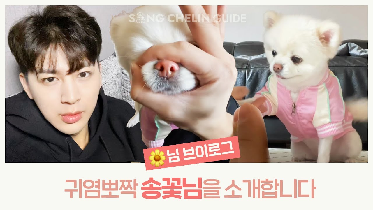 [🌼님 VLOG] 귀염뽀짝 송꽃님을 소개합니다 | SUB