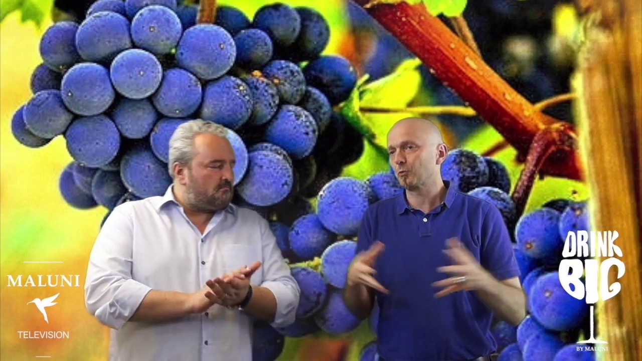 🔴 Welche Rebsorte ist der Cabernet Sauvignon?