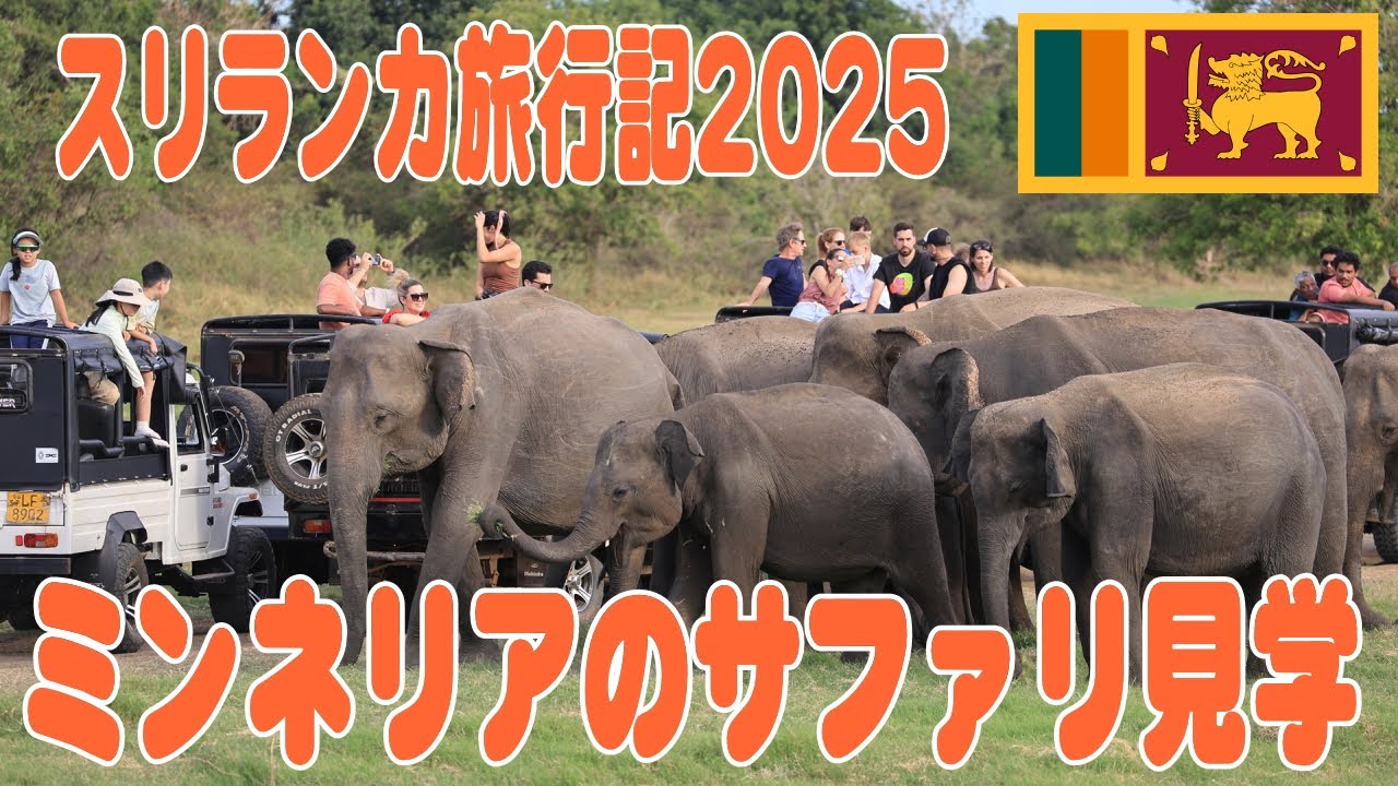 スリランカ旅、1日目ミンネリアのサファリを見学 Minneriya National Park Safari