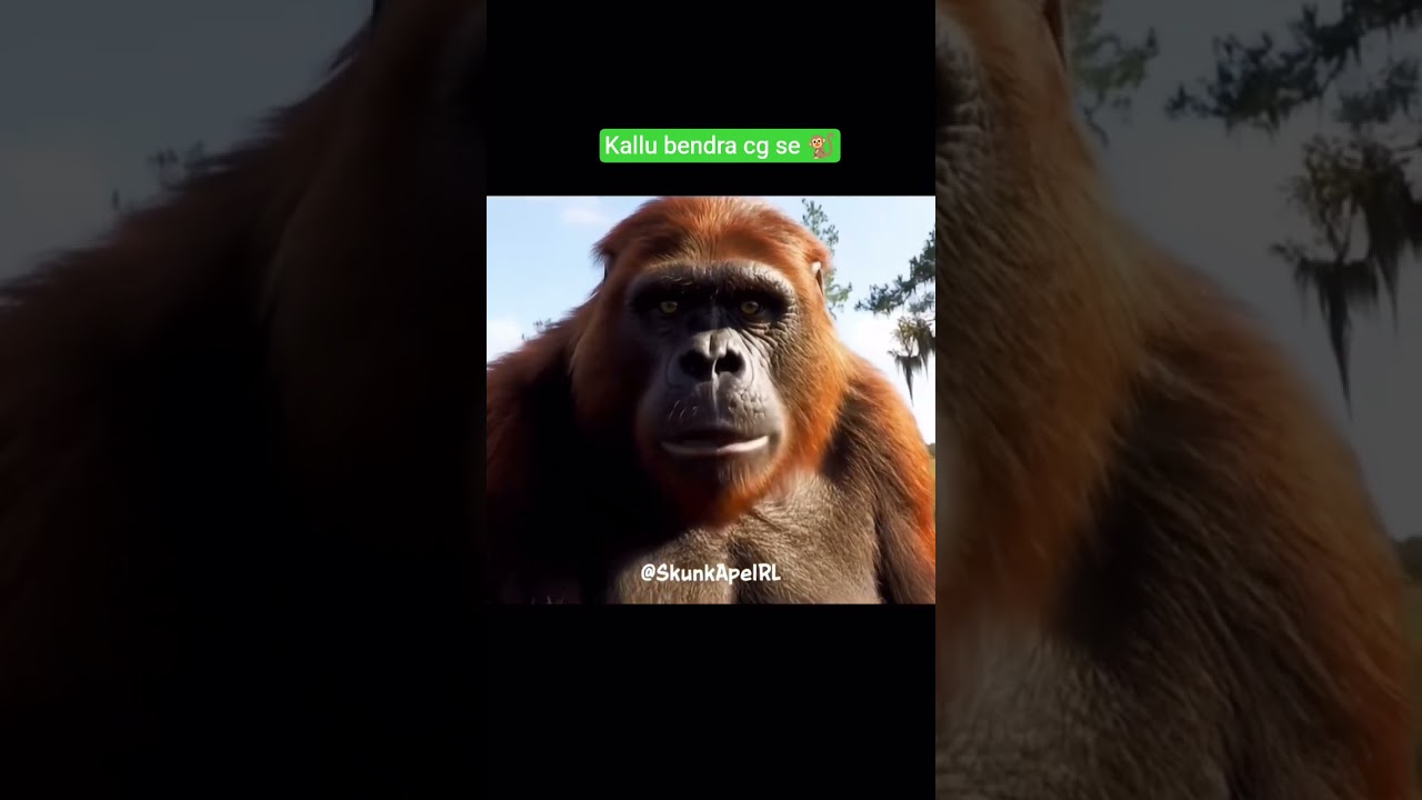 kallu bendra #bendra #monkey #vlog #viral