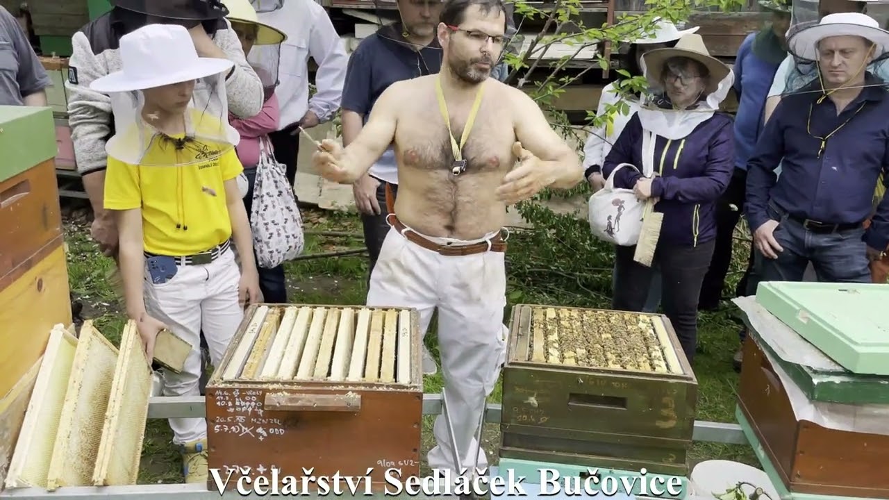 68/22 Rozšíření z 1 do 2 N např. u oddělků tj. z vajíčka na ležato do vajíčka na stojato