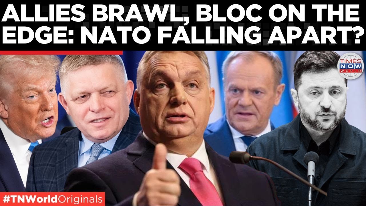 NATO's FUTURE in Jeopardy! What's Next for Global Security?