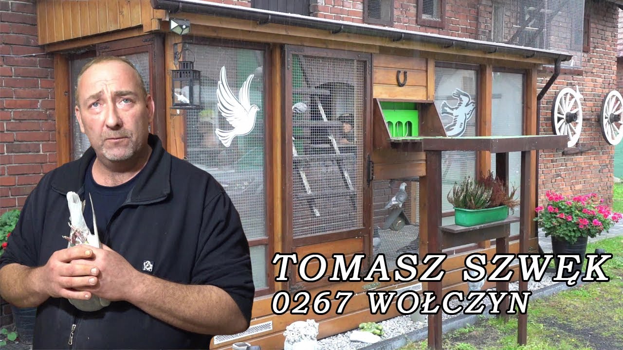 Tomasz Szwęk - 0267 Wołczyn | Kolejny udany sezon w lotach gołębi młodych! 🏆