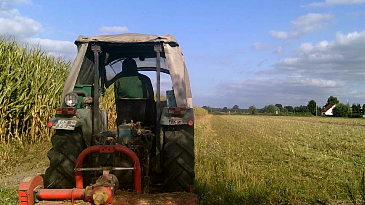 Hanomag Perfekt 301 am mulchen  2021 .2