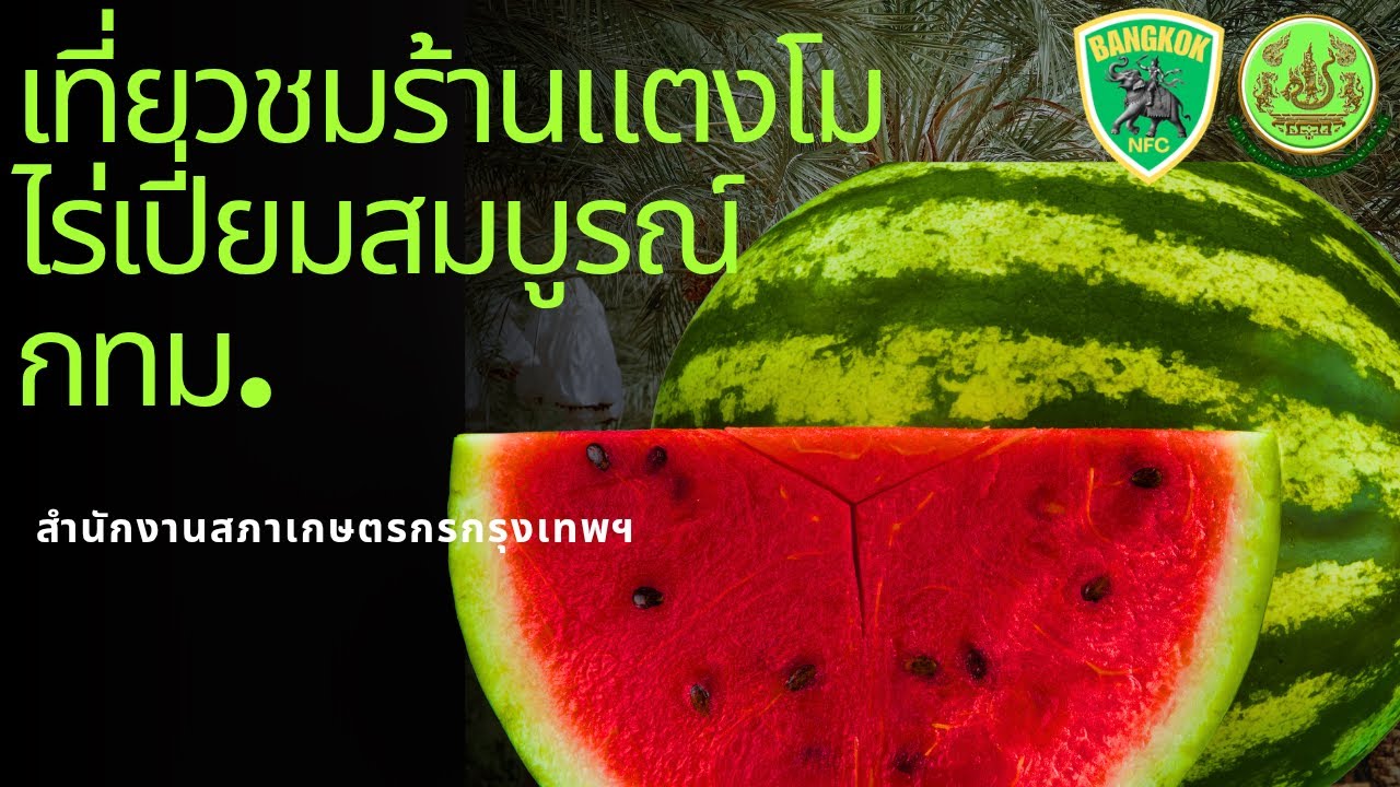 ไร่เปี่ยมสมบูรณ์​
