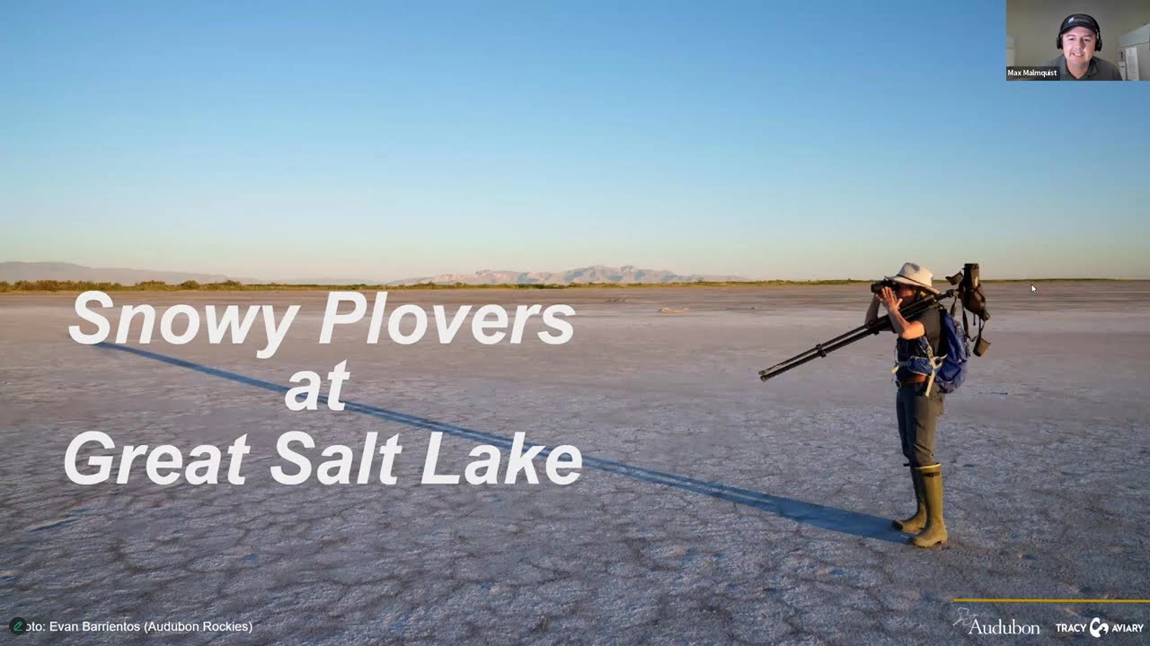 2025 Snowy Plover Monitoring Program Information Session
