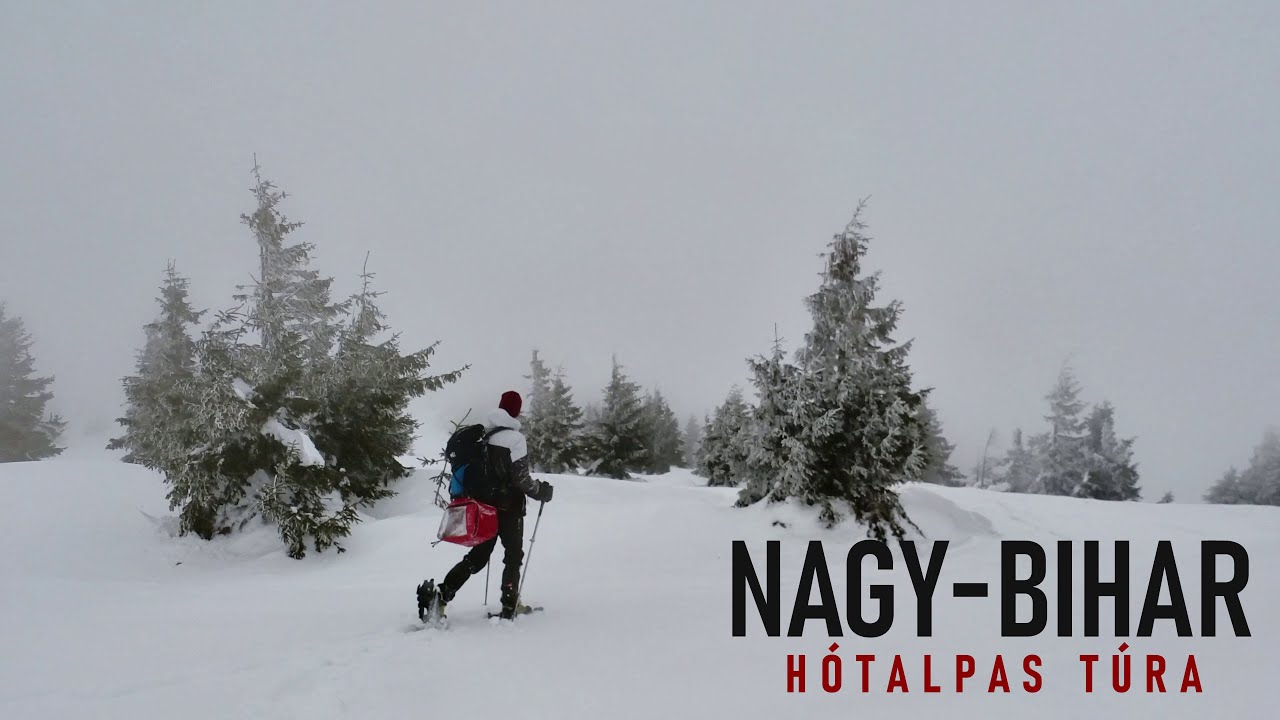 Erd&eacute;lyi-szigethegys&eacute;g || H&oacute;talpas t&uacute;ra a Nagy-Bihar cs&uacute;cs&aacute;ra