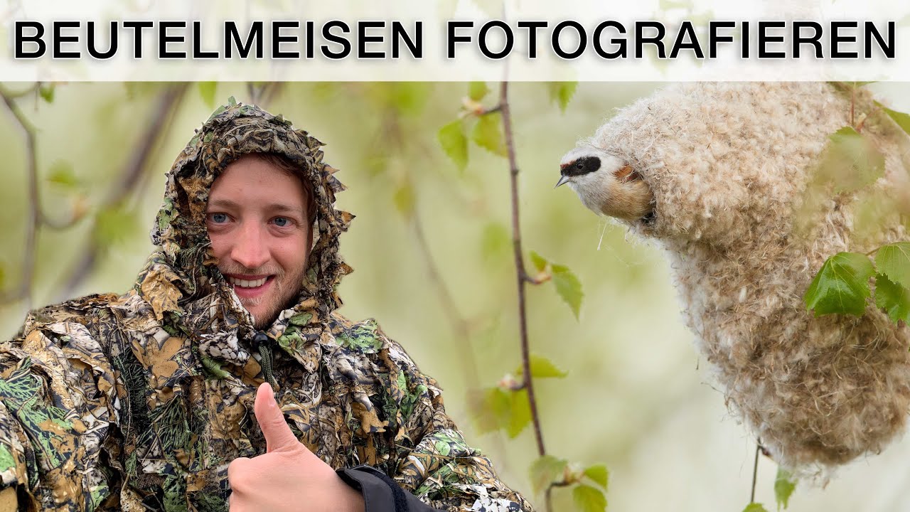 Beutelmeisen fotografieren - Vogelfotografie im Biebrza Nationalpark (Polen) - VLOG