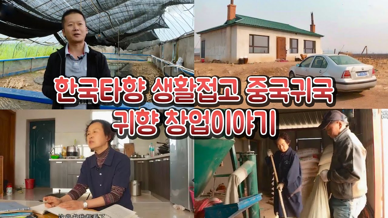 한국타향생활접고 중국귀국 귀향창업이야기(지신 룡강촌 기름개구리/동성 흥성촌양돈업)