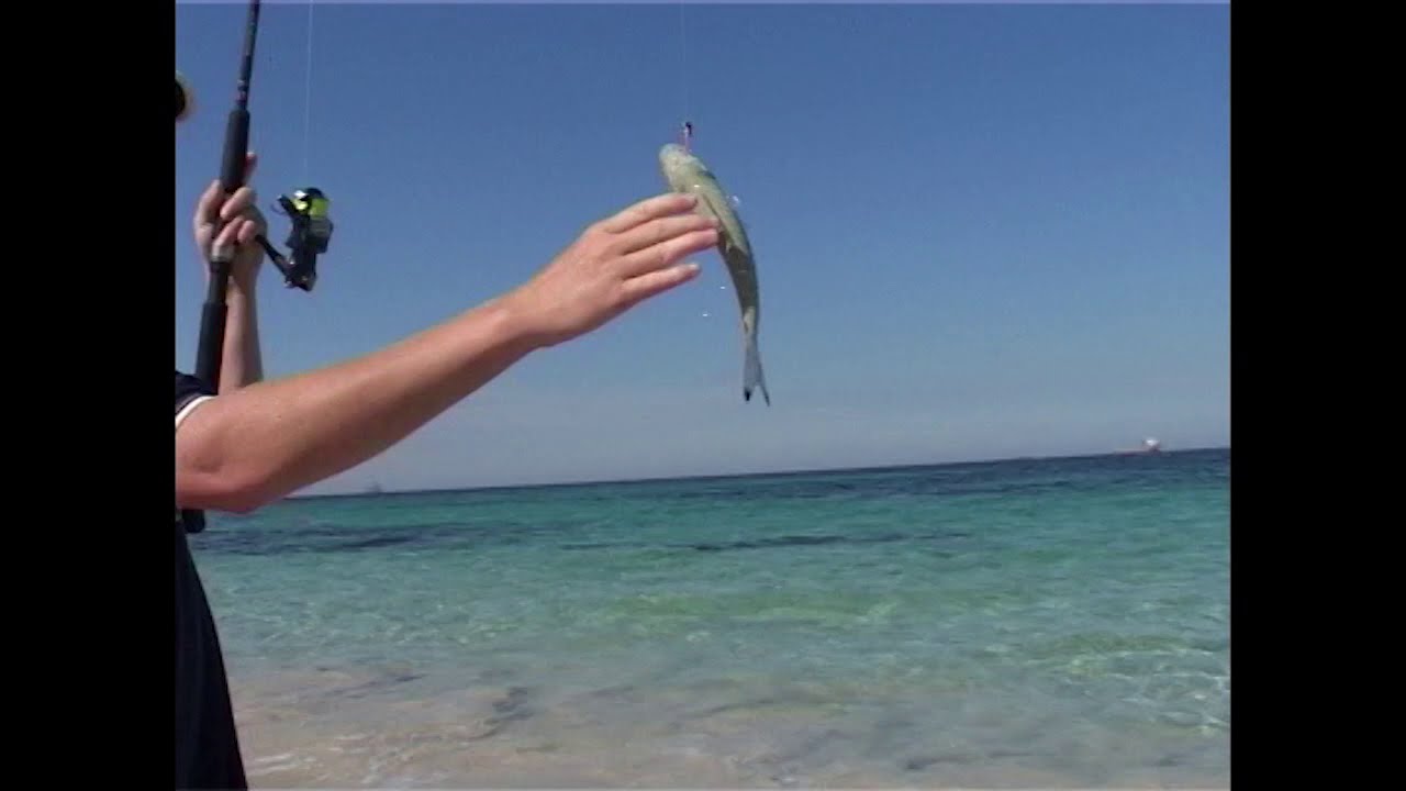 Local Perth Beach Fishing Fishing WA Series 2 Ep 12 Part 2