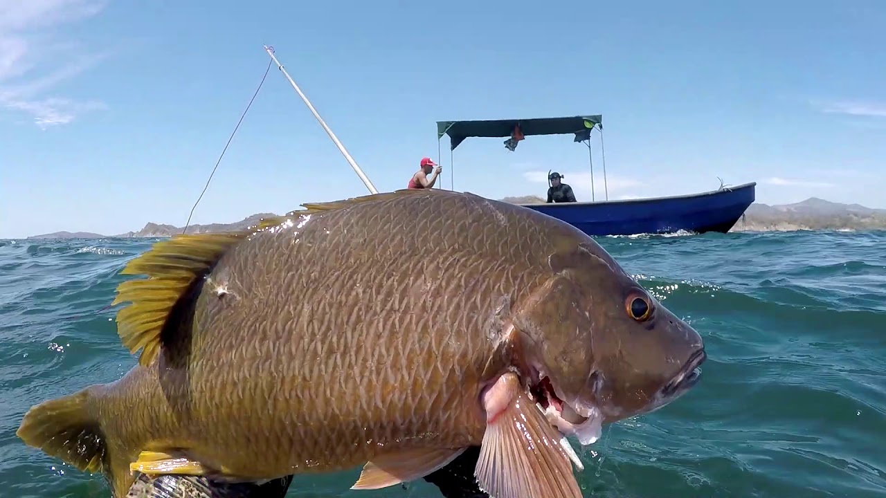 Pesca Submarina En Costa Rica///Spearfishing Costa Rica