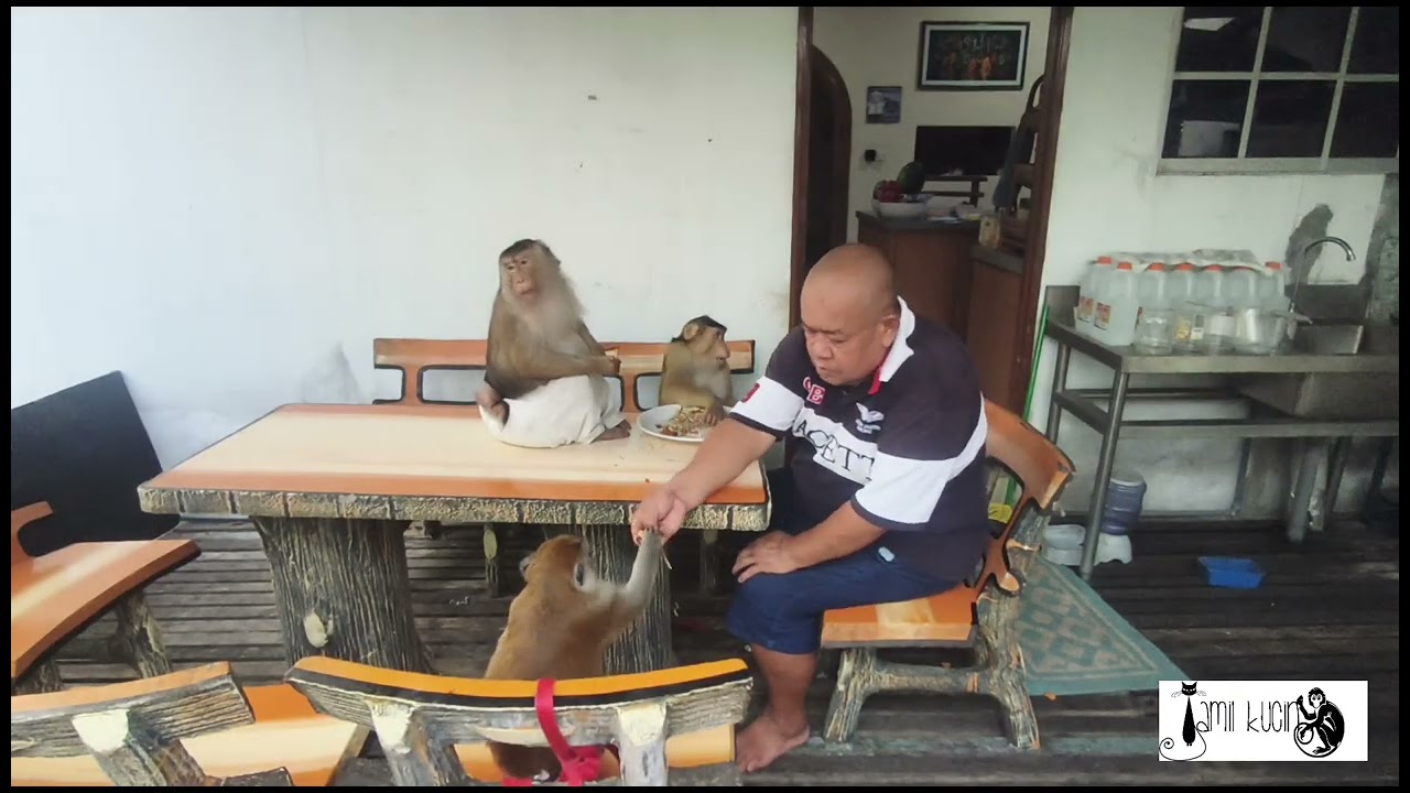 They eat Salad Rice ( Nasi kerabu )