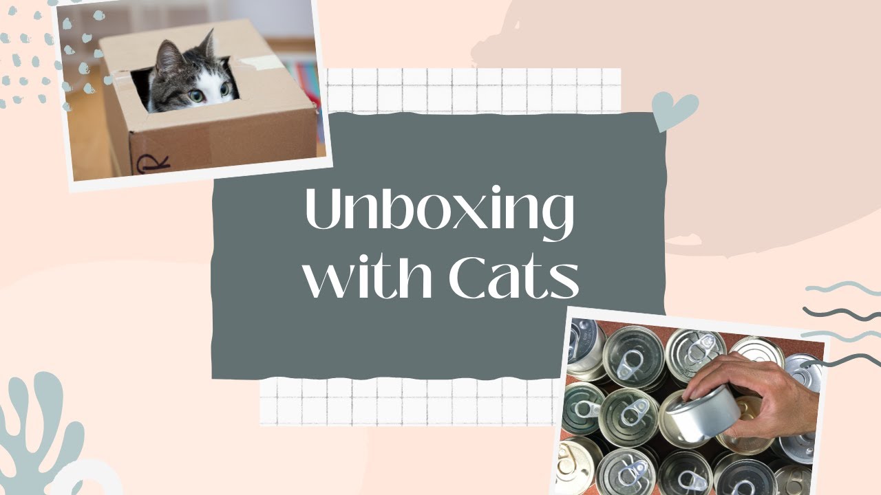 Unboxing with cats - cat food haul
