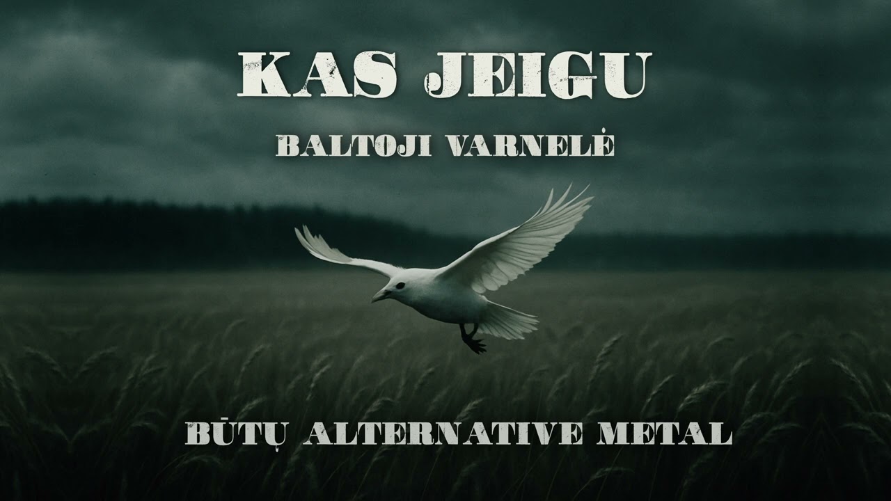 Kas Jeigu - Baltoji Varnelė Būtų Alternative Metal