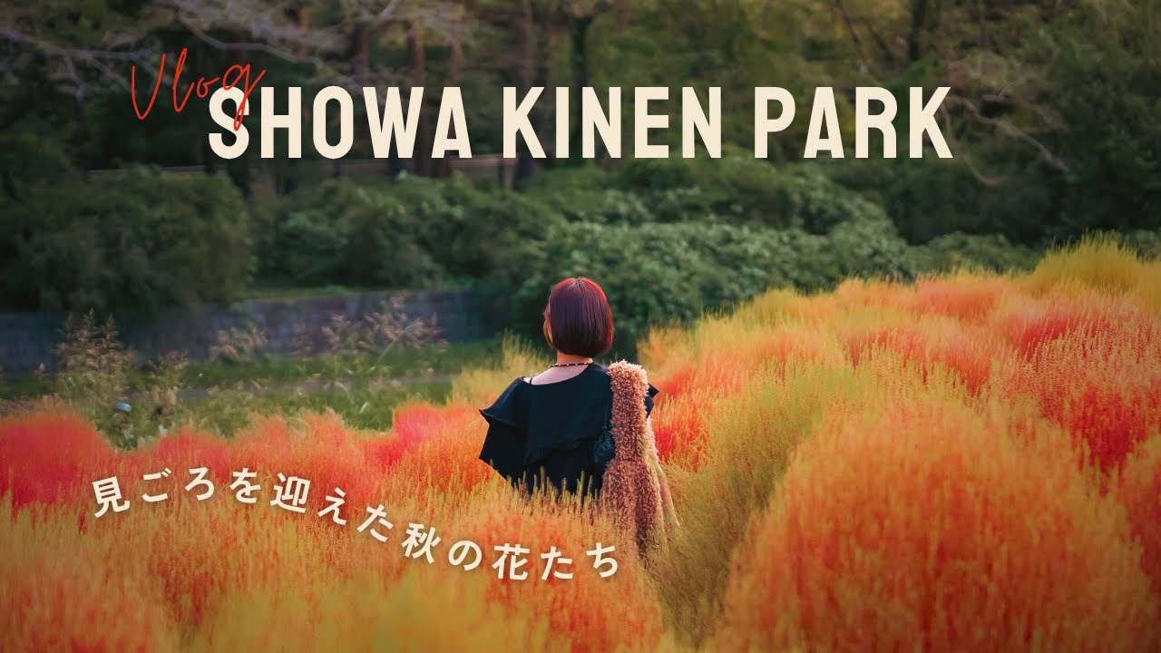 【東京Vlog】LUMIX S9で撮る秋の昭和記念公園🍁50mmレンズで過ごす休日｜コキア / コスモス畑