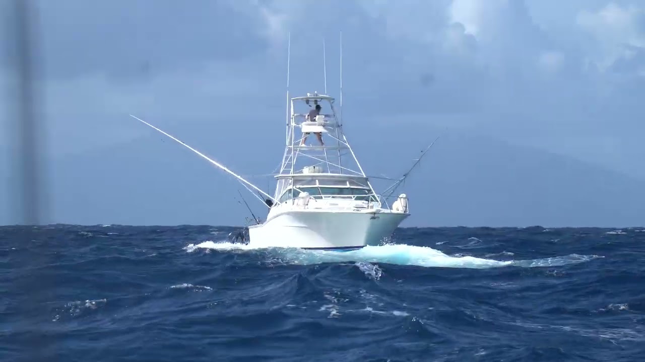 MARLIN MAGIC 2025 - Magic Lady