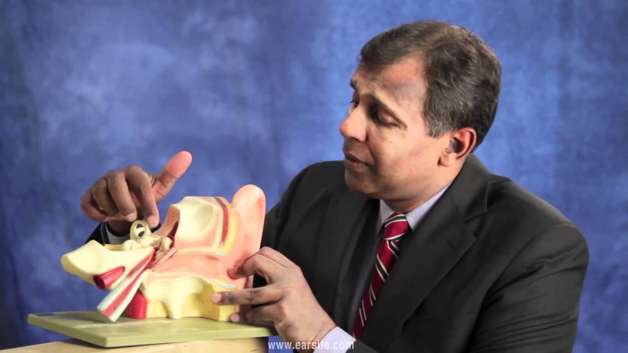 Facial Nerve Tumors