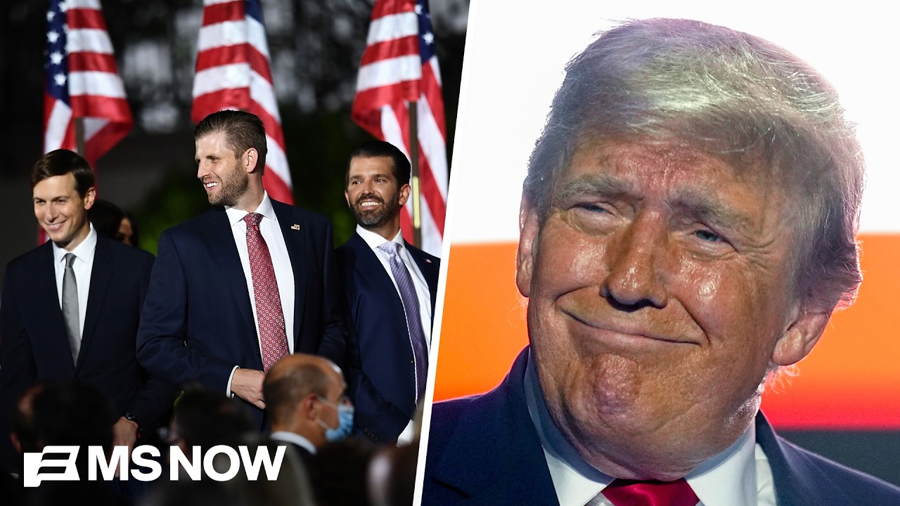 &lsquo;Conflict of interest regime&rsquo;: Fmr. State Dept. official on mining deal that enriches Trump&rsquo;s sons