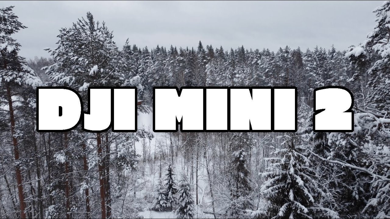 DJI MINI 2 snow test