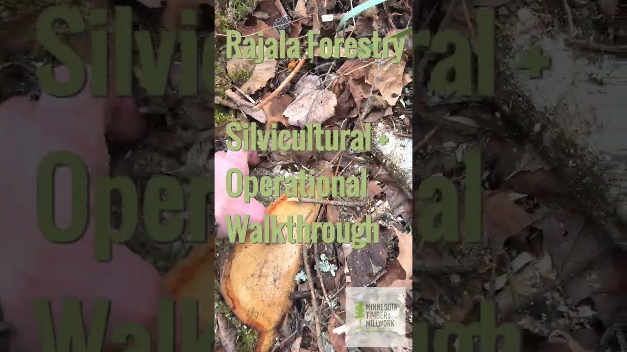 Rajala Forestry WLC C R Silvicultural Harvest Detail Walkthrough