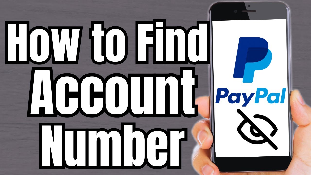 How to Find My PayPal Account Number