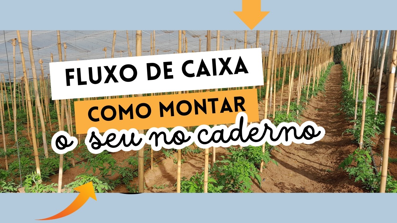 Passo a Passo : Fluxo de Caixa Para nós AUTÔNOMO no Caderno 