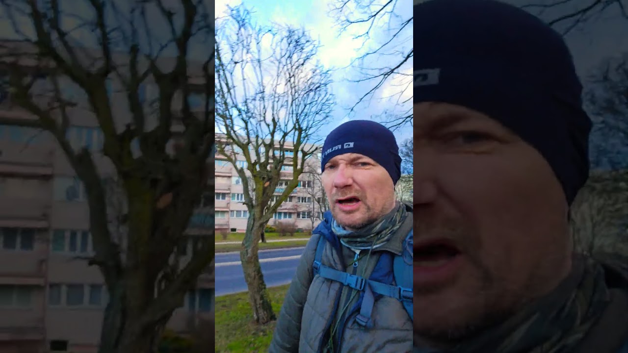 las lasem nie zawsze jest las