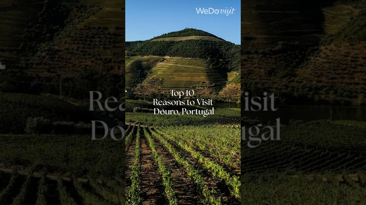 Top 10 Reasons to Visit Douro, Portugal | WeDoVisit