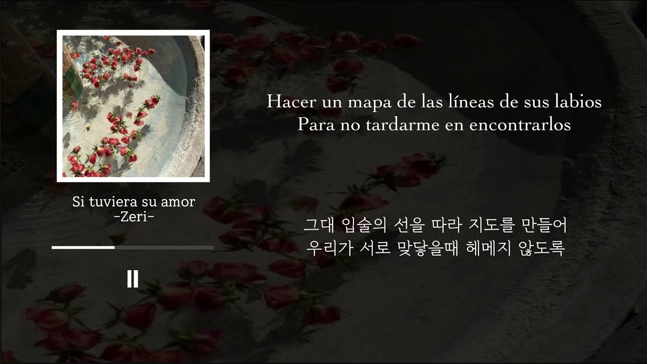 [𝐩𝐥𝐚𝐲𝐥𝐢𝐬𝐭] 아름다운 선물같은 🌷 스페인어 노래 모음 / 달달한 팝송 ver.2