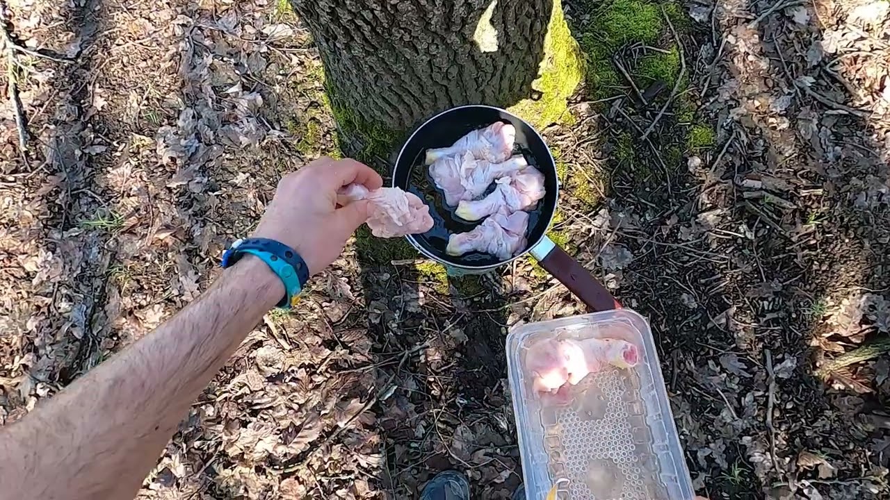 Gatesc la tigaie in natura 4K 📺